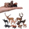 JOKFEICE Lot de 10 figurines danimaux de la forêt - Figurines réalistes - Modèle daction pour projet scientifique - Jouet é