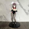 OOBEDU Figurine ECCHI - Yunyun - 1/4 - Lapin Ver. - Figurine complète - Poupée modèle en PVC - Figurine de Personnage danime