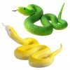 FLORMOON Lot de 2 figurines danimaux - En caoutchouc réaliste Python Action modèle - Jouet de serpent réaliste - Accessoire 