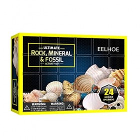 SHARRA Kit de fouille méga fossile, Calendrier de lavent de noël méga fossile National Geographic Coffret Cadeau Jouets éduc