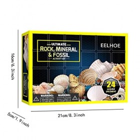 SHARRA Kit de fouille méga fossile, Calendrier de lavent de noël méga fossile National Geographic Coffret Cadeau Jouets éduc
