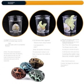 Calendrier de lavent 24 jouets surprises oeufs de dinosaures éclos jouets de dinosaures 24 jours calendrier de lavent de No