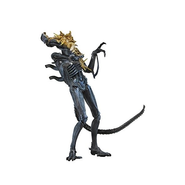 Aliens NECA NEC0NC51639 Figurine Warrior endommagée