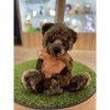 Charlie Bears - Vernon | Ours en peluche 2022 – Cadeau à collectionner – 45,7 cm