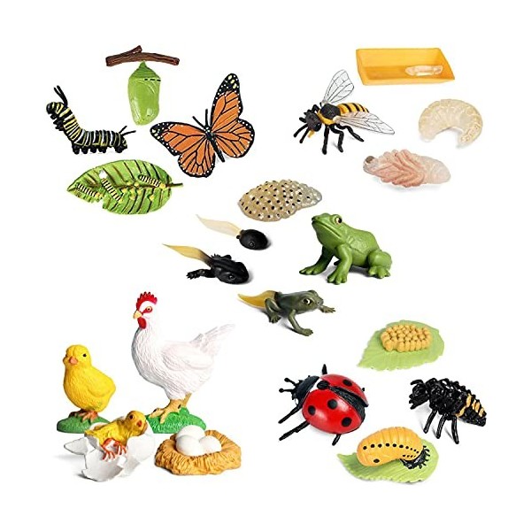 Lot de 20 jouets dinsectes en plastique - Modèle de cycle daction - Figurines dinsectes - Jouets éducatifs précoces - Proj