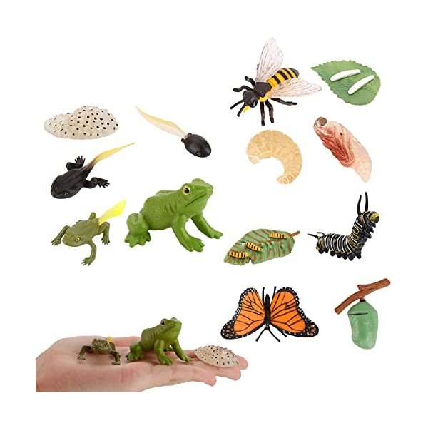 JOKFEICE Lot de 13 jouets dinsectes,Cycle de vie de papillon, abeille et grenouille,Jouets éducatifs précoces,Projet scienti