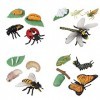 JOKFEICE Lot de 16 jouets à insectes - Cycle de vie de papillon, abeille, libellule et coccinelle - Jouet éducatif précoce - 