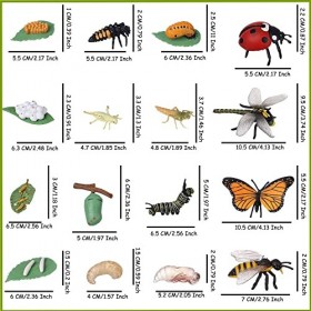 JOKFEICE Lot de 16 jouets à insectes - Cycle de vie de papillon, abeille, libellule et coccinelle - Jouet éducatif précoce - 