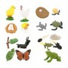 STOBOK Lot de 4 figurines de papillons en forme de tortue et de tortue pour enfants