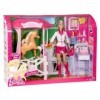 Barbie Veterinaire Specialiste Des Poneys - V2221