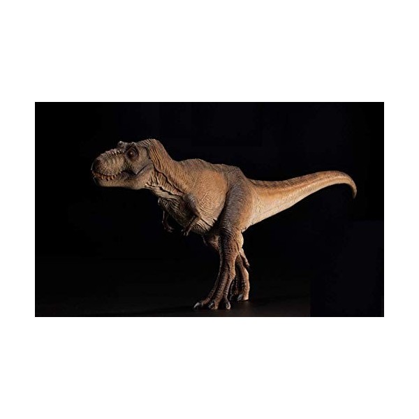 1:35 Tyrannosaurus Rex Alpha Dinosaures Animaux Préhistoriques Collection De Jouet Poupée Mâchoire Mobile Couleur: Vert FAN