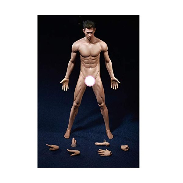 Leying 1/6 Soldat Encapsulé Muscle Corps Masculin Poupée Croquis Modèle Figurine Action Couleur Blé