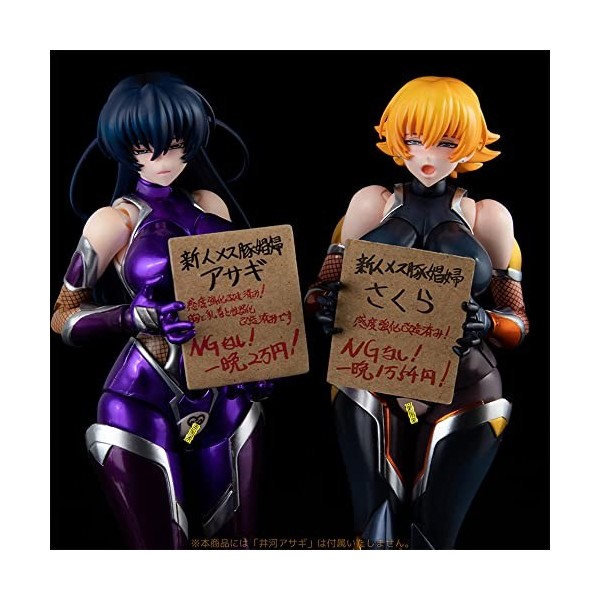 HeRfst RoMuka Taimanin Asagi 3 – Igawa Sakura et Igawa Asagi – Figurine multicolore / poupées/cadeaux à collectionner pour le