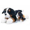 Plush & Company - 15724 - Peluche - Kera Bernese Chien - 70 cm