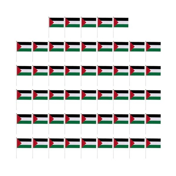 vsilay Lot de 10/50 mini drapeaux palestiniens à main sur bâton rond pour défilés