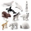 Morofme Lot de 10 figurines danimaux de lArctique - Jouet réaliste - Polar - Cerf de toundra - Ours - Renard - Animal de l