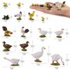 Evemodel Lot de 30 trains miniatures peints 1:43 animaux de la ferme calibre O poulet, canard, oie, PVC, 15 styles différents