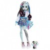 Monster High Poupée Frankie Stein Avec Accessoires Et Animal De Compagnie, Poupée Mode Articulée, Cheveux Méchés Noirs Et Ble