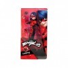 Coffret pour Miraculous Ladybug 26 cm Tenue Rouge et Noir + 2 Accessoires - Set poupée Mannequin articulée + 1 Carte Offerte