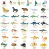 JOKFEICE Lot de 36 Figurines danimaux Marins réalistes en Plastique Comprenant Une Baleine Bleue, Un Dauphin, Une Bosse etc.