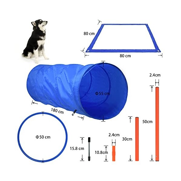 Aufun Equipement pour Entraînement dAgilité de Chien, Chiens équipement Complet Obstacle avec Tunnel, Slalom, Zone Repos, ba