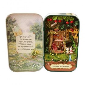 Kits dassemblage Faits à la Main boîte théâtre Maison de poupée Meubles Miniatures pour la décoration de la Maison, Collecti