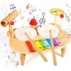 POWZOO Tambour Jouet Bebe,10 en 1 Jouets pour bébés Instruments de Percussion,Instrument de Musique Ensemble de Batterie pour