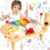 POWZOO Tambour Jouet Bebe,10 en 1 Jouets pour bébés Instruments de Percussion,Instrument de Musique Ensemble de Batterie pour