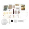 Le kit de Maison de poupée Dream Forest Island améliore latmosphère Romantique des Cadeaux danniversaire de noël pour Jouer