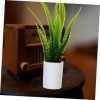 ibasenice 2 Pièces Fausse Fleur en Pots Maison De Poupée Bonsaï Plante Faux Modèle Succulent Plantes Bonsaï Décoratives Maiso