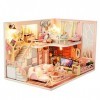 SEPTEMBER - Maison de poupée miniature en bois rose 3D DIY kit assemblé pour cadeau danniversaire avec lumières LED