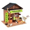 misppro Maison de poupée miniature en bois avec meubles, lumière LED style chinois magasin de fruits frais