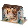 Miniatures de Maison de Poupée, Kit de Maison de Poupée avec Meubles et Lumière LED, Kit de Maison Miniature Bricolage, Cadea