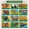 Lot de 12 figurines danimaux de safari avec grand tapis dactivités de 147 x 98,6 cm, réalistes Jumbo danimaux du zoo sauva