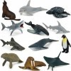 Lot de 12 figurines danimaux de mer pour enfants, enfants, tout-petits, ensemble réaliste pour les amoureux de la mer, compr