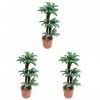 Toyvian 3 Pièces Maison De Poupée Arbre en Pot Ornement De Jardin Fleur Miniature Plantes De Jardin Décor De Mini Pots Pot po