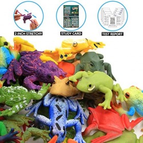 Jouets Grenouilles, 12 Sacs Lot Mini Grenouilles en Caoutchouc, Monde Animal，Caoutchouc Alimentaire de Qualité Médicale étira