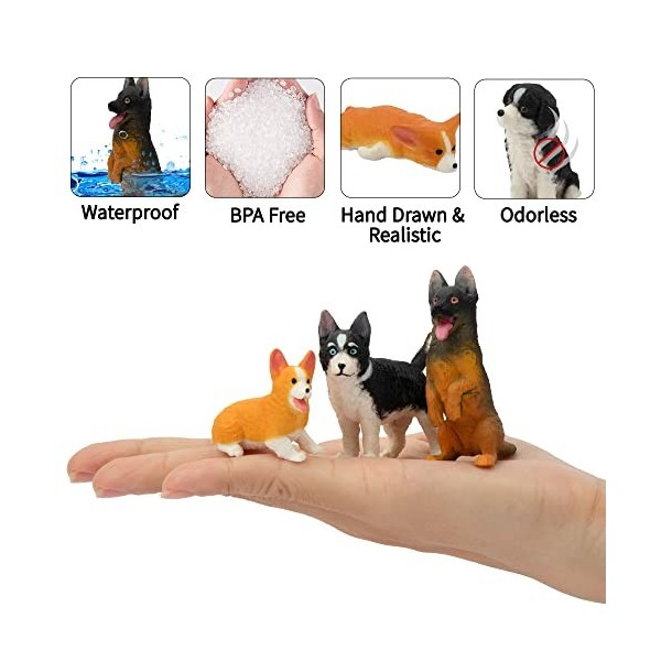 EYSCOTA Lot de 12 figurines de chien réalistes en plastique peintes à la main - Cadeau danniversaire pour enfants et tout-pe