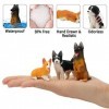 EYSCOTA Lot de 12 figurines de chien réalistes en plastique peintes à la main - Cadeau danniversaire pour enfants et tout-pe