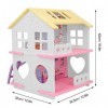 Maison de poupée bricolage, ensemble de maison de poupée miniature, jouets miniatures de maison de poupée, pour cadeau danni