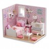 Flever Maison de poupée miniature DIY maison de poupée avec meubles et housse pour cadeau romantique de Saint-Valentin princ