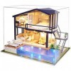 La Vida en Led DIY Maison avec Piscine Miniature Puzzle 3D avec Lumière et Musique Boîte dAffichage 