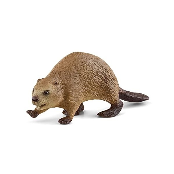 Schleich 14855 Castor, dès 3 Ans, Wild Life - Figurine, 10 X 3 X 3 cm