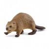 Schleich 14855 Castor, dès 3 Ans, Wild Life - Figurine, 10 X 3 X 3 cm