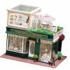 predolo Kit de Maison de Poupée Miniature en Bois avec Boutique, Ensemble de Mini Maison Créative, pour Adultes et Adolescent