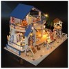 XBSLJ Maisons pour poupées Maison de poupée Miniature avec Meubles, kit de Maison de poupée en Bois Bricolage Plus LED et boî