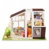 NXYDQ Poupée Miniature Maison, Maison de Bricolage innovant modèle Main, Artisanat Greenhouse Puzzle Miniature 3D Kit for Dol