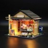 LEONYS Maison de poupée miniature avec meubles, kit de maison de poupée à faire soi-même, mini cabine, jouet assemblé en 3D, 