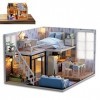 MISOYER 5 Pcs Kit Mini poupée - Kit Petite Maison | Kit Meubles Miniatures en Bois et PP Mini Maison Verte avec LED Meilleurs