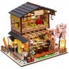 LEONYS Maisons de poupées Maison de poupées Mini Kit de Construction de Maison for Adultes avec lumière LED et boîte à Musiqu